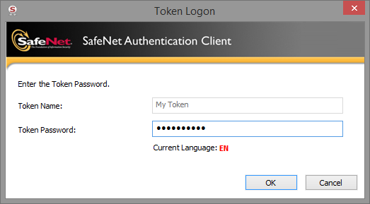 The Token Logon window of the middleware, where you type the PIN (token password). Its look depends on the vendor of your token.